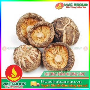 huong-nam-huong-vmc