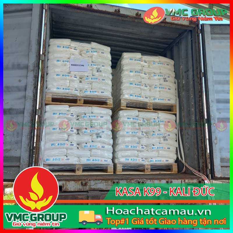 KASA K99 - KALI ĐỨC